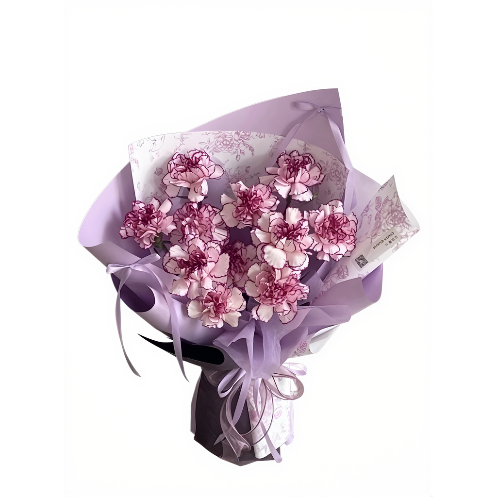 Carnation Petal Reverie · 康乃馨花瓣絮语
