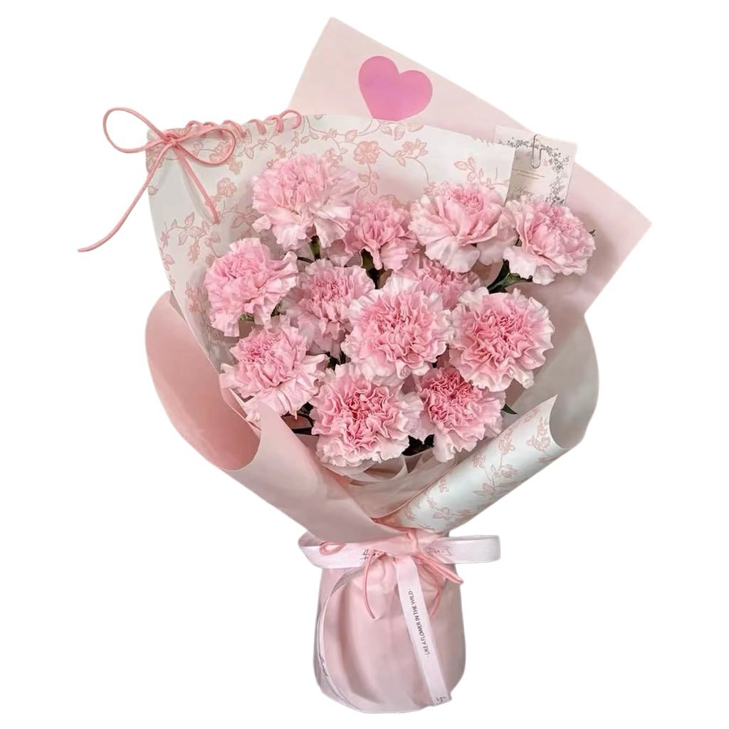 Pink Carnation Bouquet · 粉康乃馨花束