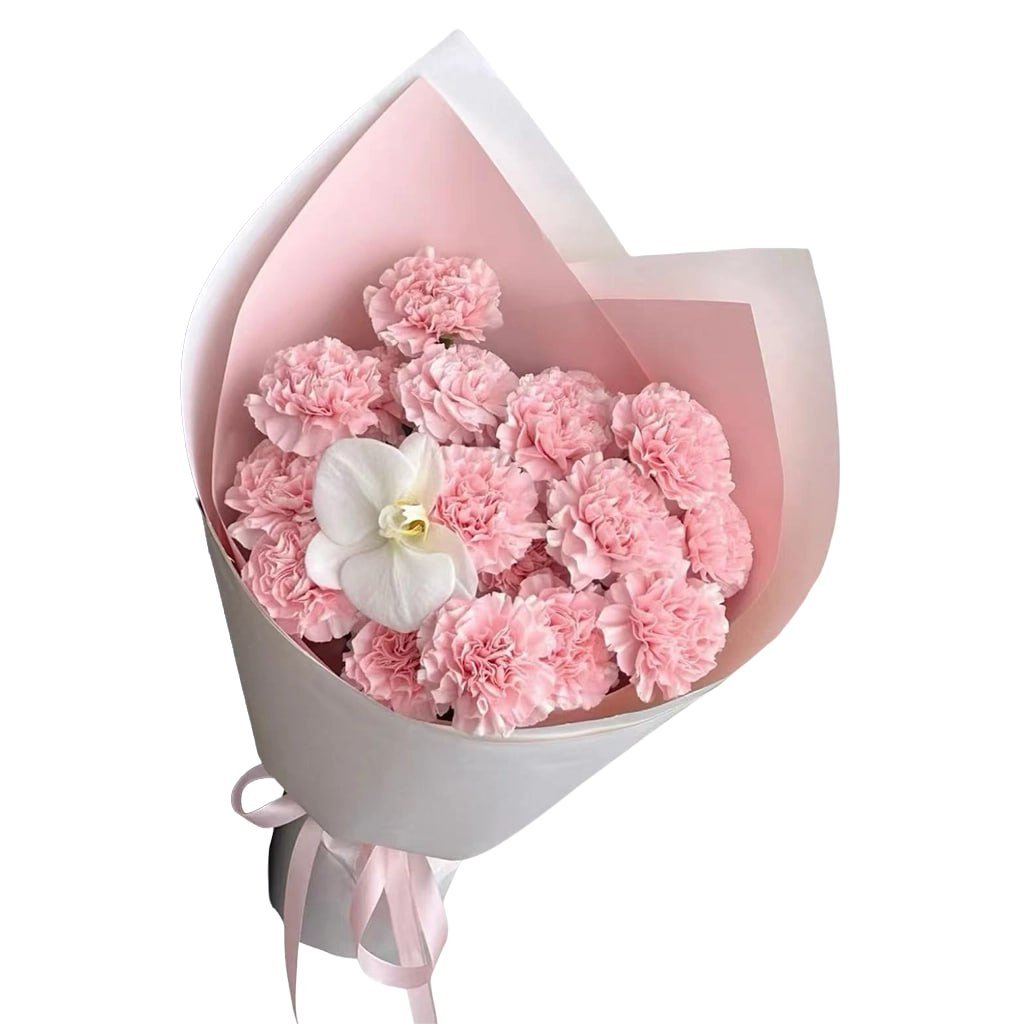 Pink Carnation Elegance Bouquet · 粉康乃馨优雅花束
