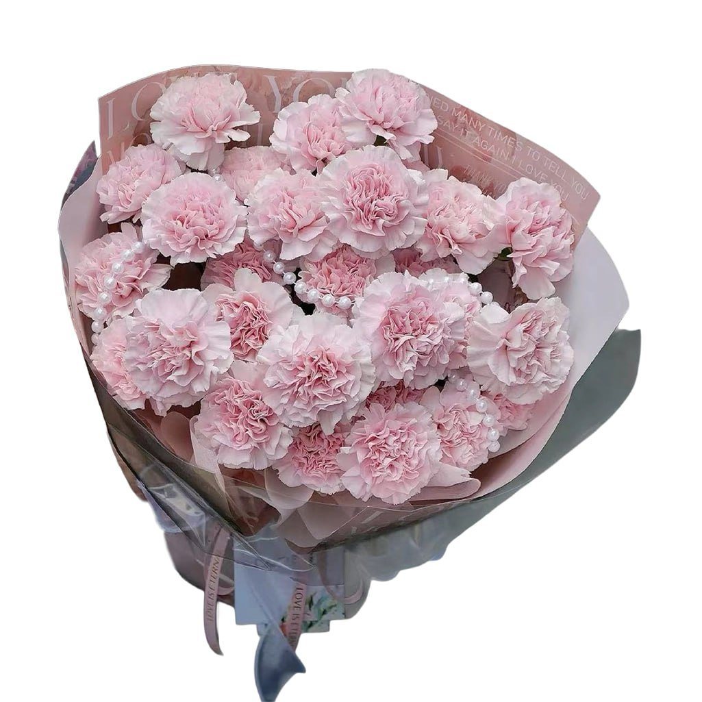 Blushing Pink Carnation Bouquet · 粉嫩康乃馨花束