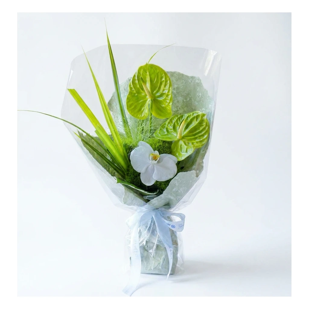 Green Anthurium & Orchid Bouquet · 绿色火鹤兰与蝴蝶兰花束