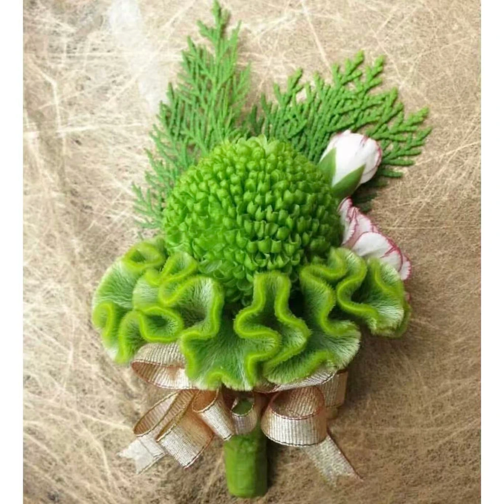 Green Chrysanthemum Boutonniere · 绿色菊花胸花
