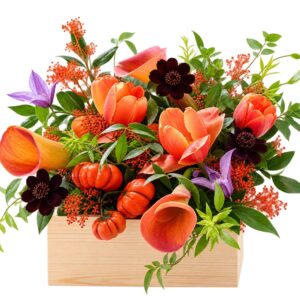 Autumn Harvest orange floral arrangement with purple accents in a natural wooden box on a white background